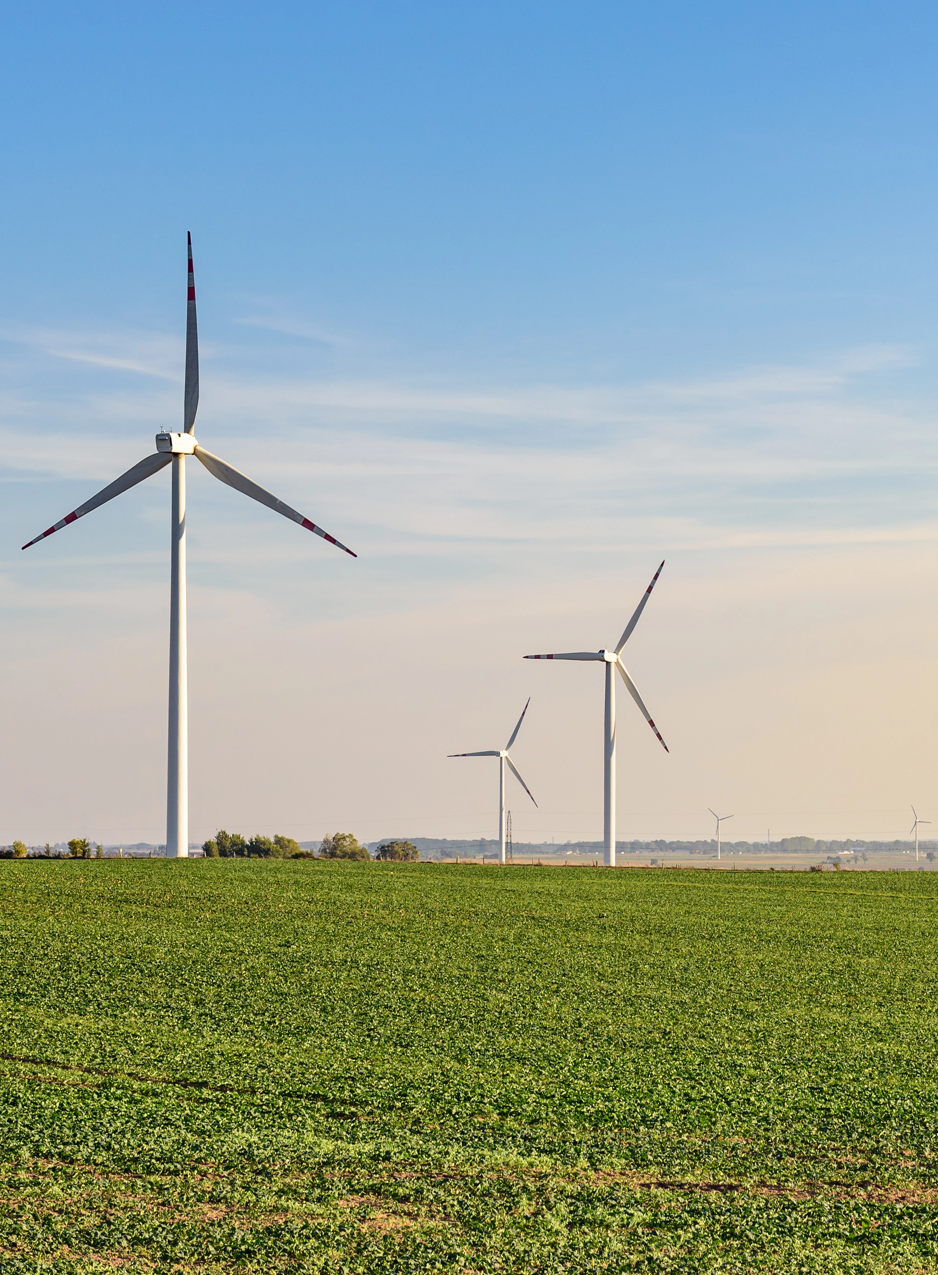 Terrys Water Service